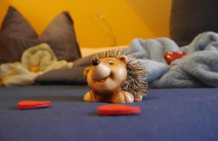 Ferienwohnung Kluge - Foto 6