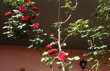 Artemis Apartments - Photo 51