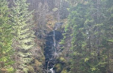 Aldernaig Mill - Photo 35