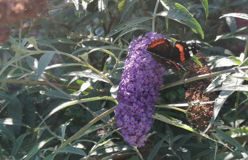 Gästewohnung Schwanenteich - Foto 13