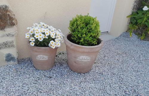 Gîte tante Jeanne - Foto 36