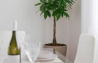 Sea La Vie - Foto 19