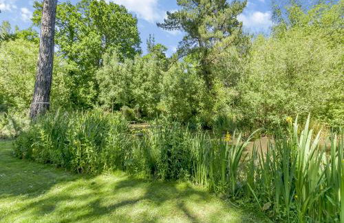 South Wood Lodge - Foto 21