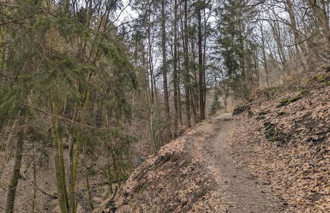 Ebenerdige Wohnung mit Terrasse in Winterberg - Foto 41
