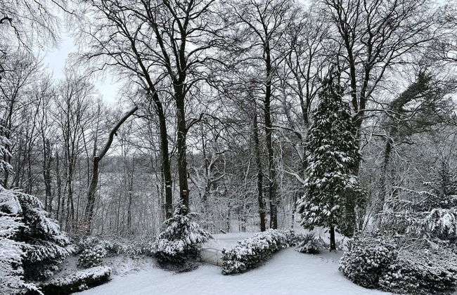 Flat in Eutin on the Kleiner Eutiner See Lake - Photo 51