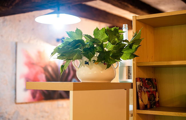 Vintage House Podliparska - Photo 41