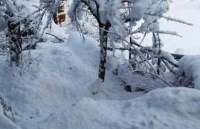 La Stella Alpina - Photo 23