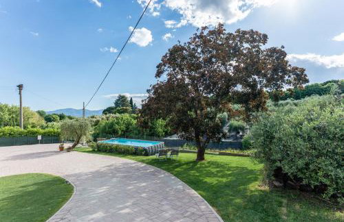 Villa Meschi - Photo 9