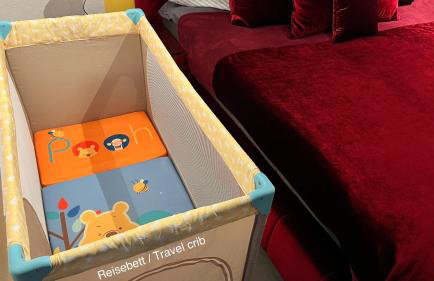 FeWo Souterrain TT-Bodensee - Foto 16