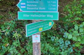 Finnhütte zwischen Wald und See - Foto 26