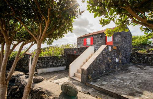 Adega Velha - Photo 6