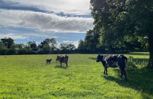 Annexe at The Chalet - A one bedroom annexe with gorgeous countryside views - Foto 45