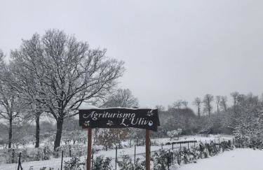 Agriturismo L'Ulivo - Foto 41