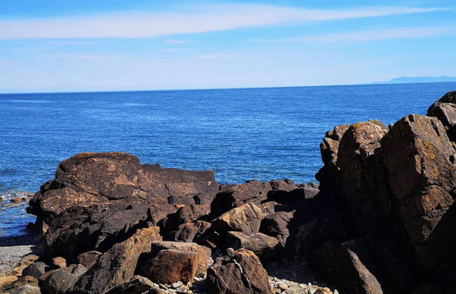 Caravan - Sleeps 4 - Pet Friendly - Parking - Photo 8