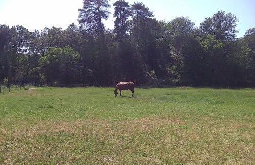 Maison d'hôtes - Foto 17