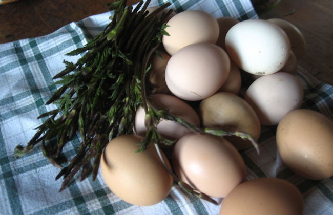 Agriturismo La Rovere - Foto 15