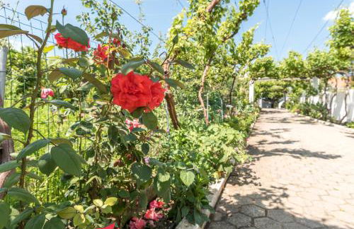 Villa Sao Miguel - Armacao de Pera - Foto 18