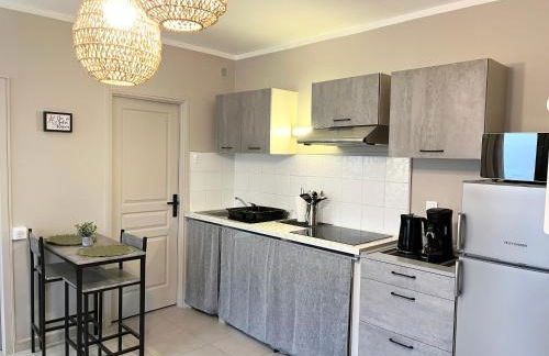 Charmant T2 lumineux avec terrasse - Foto 9