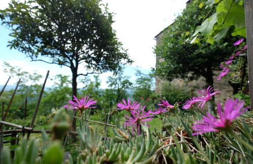 House with stunning views - Foto 11