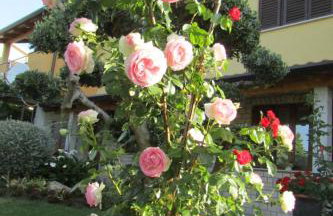 Apartment Pino - Foto 8