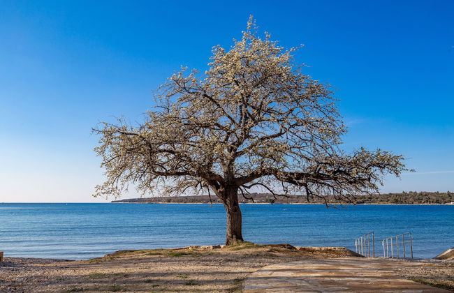 Apartment House Volta - Foto 24