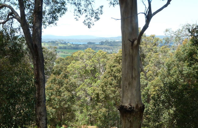 Karma Chalets - Photo 67