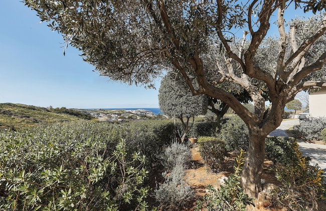 OZEA Elevated Living -formerly Keramos villa and apartments- - Foto 156