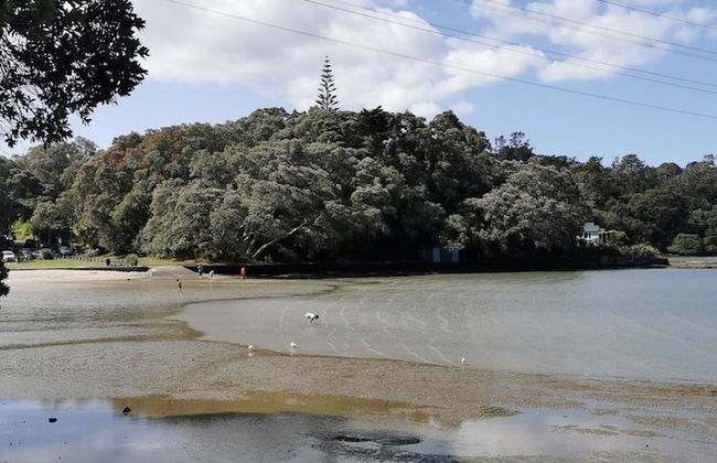 Brand New 5BR home with view of the sea - Photo 59