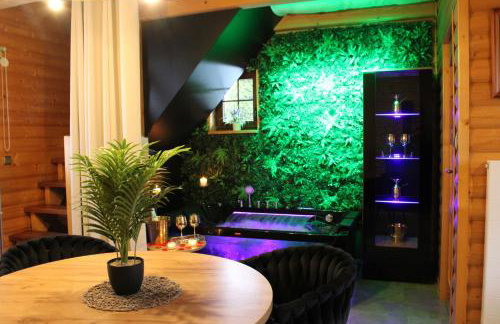 Pod Młyńską Skałą - apartamenty z prywatnym jacuzzi i kominkiem - Foto 17