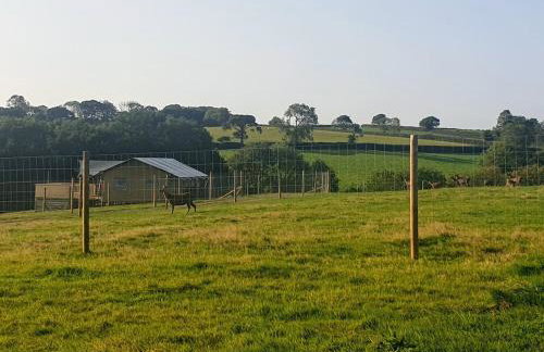 Luxury Safari Lodge-Sleeps 4 6-Deer Park-Dogs Ok - Foto 41