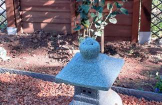 Les 3 chênes - Foto 10