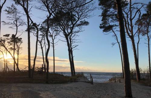 Ferienhaus Wolff - Foto 27