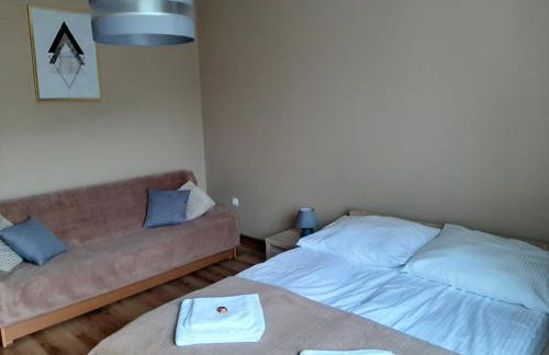 Apartamenty ,,Trzy Sosny'' Rymanów-Zdrój - Foto 8