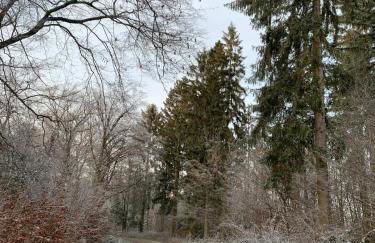 Ferienwohnung mit Garten am Wald - Foto 20