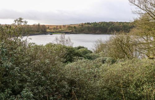 Rock Hollow - Foto 39