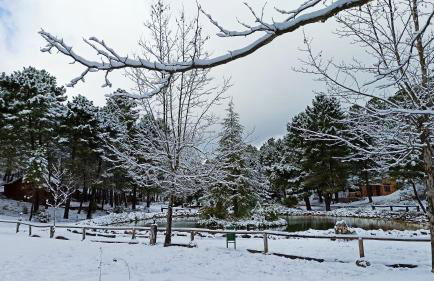 La cabaña del lago en ZAFIRO LAGUNAZO Parque Natural del Río Mundo - Foto 7