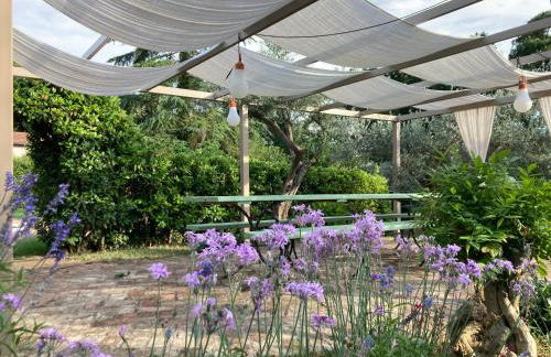 Casale Dolci Dimore - Foto 21