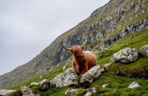 West Horizon holiday cottage - Foto 38