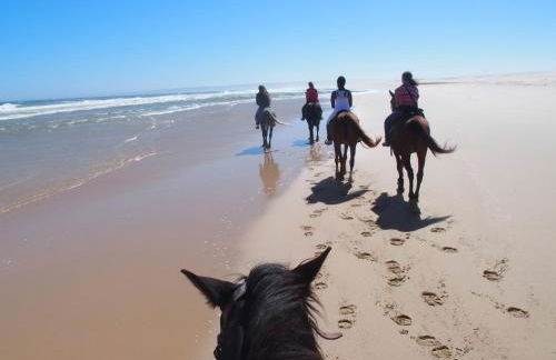 30A MONANTERRA Atlanterra Urbanización Mar de Plata - Foto 39