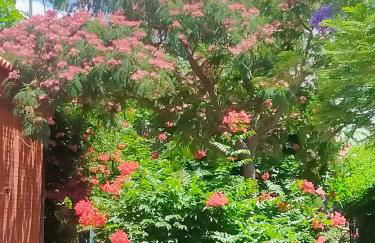 Precioso chalet próximo a Sevilla con jardín y piscina privada 8 personas Wifi gratis 2 salones 4 dormitorios 2 baños - Foto 51