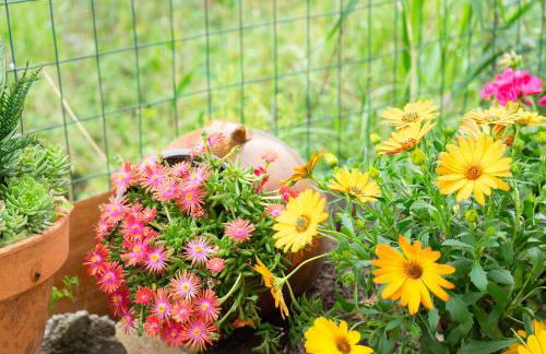 Casa di Nonna Linda - Foto 11