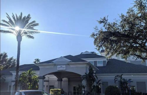 Free Shuttle Mickey Universal Epic SeaWorld - Foto 70