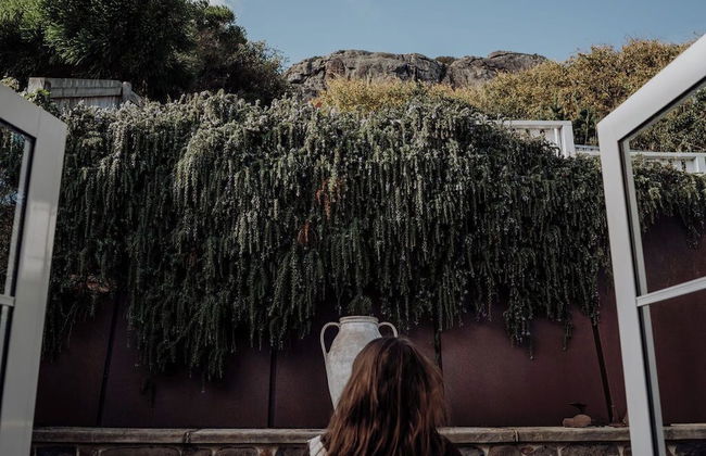 Little Talisker - Foto 15