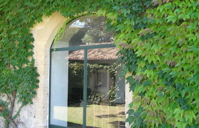 Tenuta Sant'Andrea - Foto 57