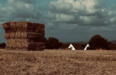 The Retreat - Foto 48