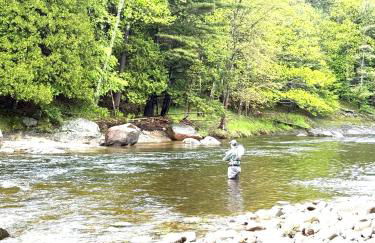 Private Adirondack Log Cabin, Hot Tub, Sauna & Swimming Hole, near Whiteface - Foto 44