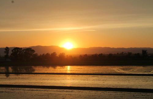Flamenco&roof - Foto 21