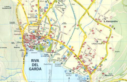 Green Life - Photo 39