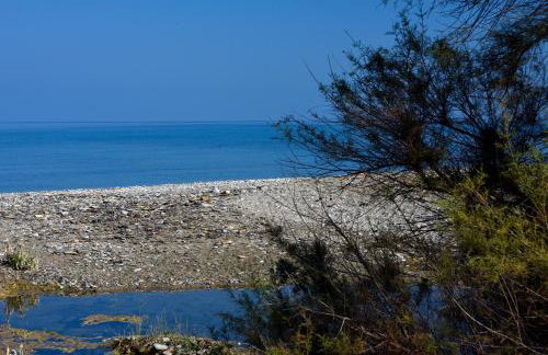 Endless green 1 Arethousa Ikaria - Photo 26