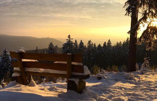 Ferienwohnung Rennsteigblick - Foto 22